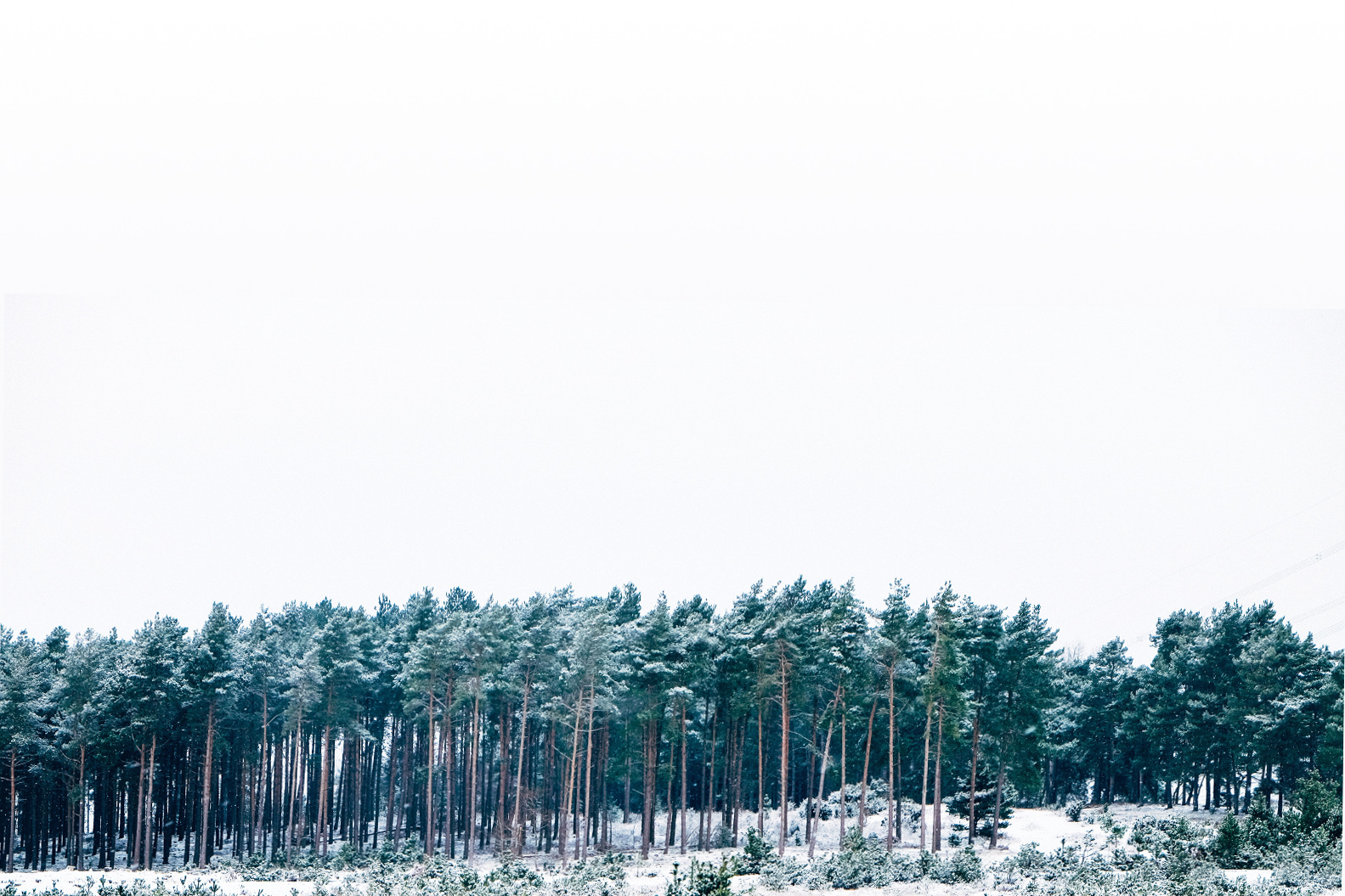 invert-default-slider-image